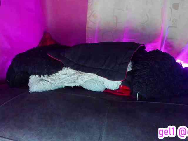 cata-anngel webcam