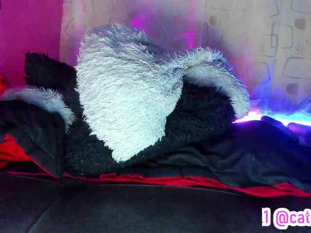 cata-anngel webcam