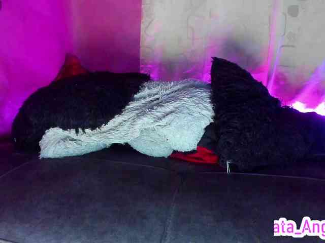 cata-anngel webcam