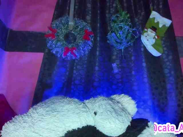 cata-anngel cata-anngel