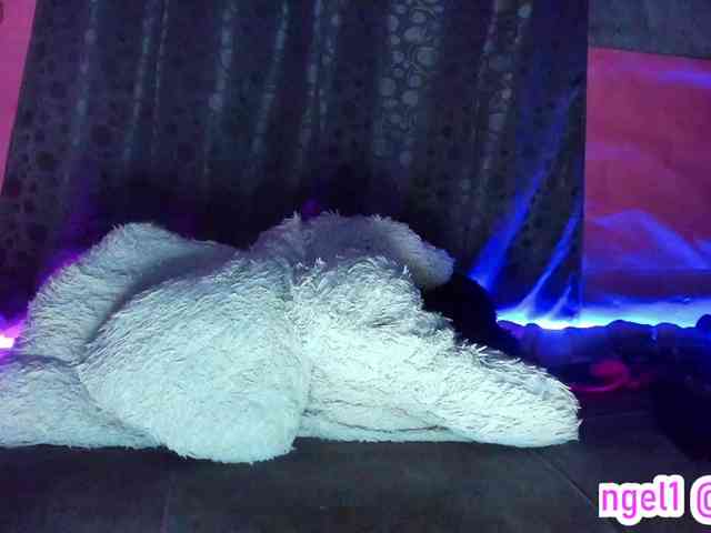 cata-anngel webcam