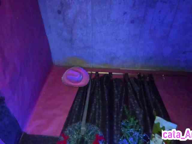 cata-anngel webcam