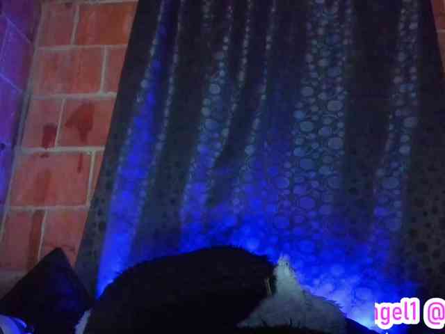 cata-anngel cata-anngel