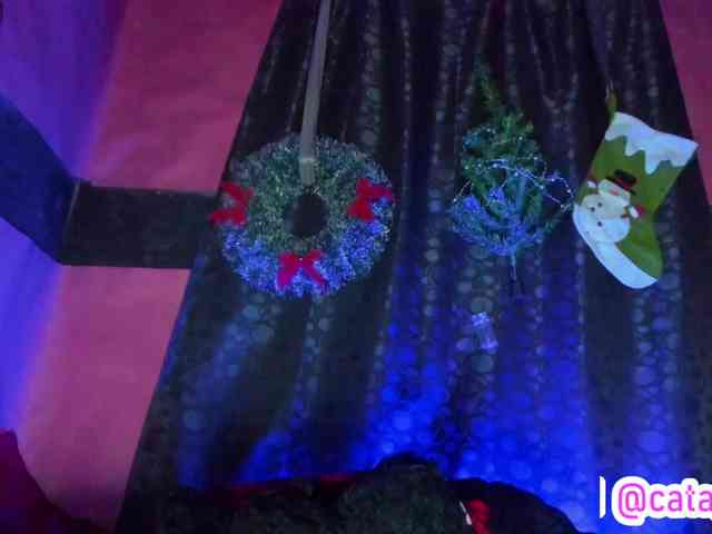 cata-anngel webcam