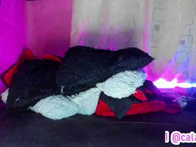 cata-anngel webcam