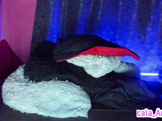 cata-anngel webcam