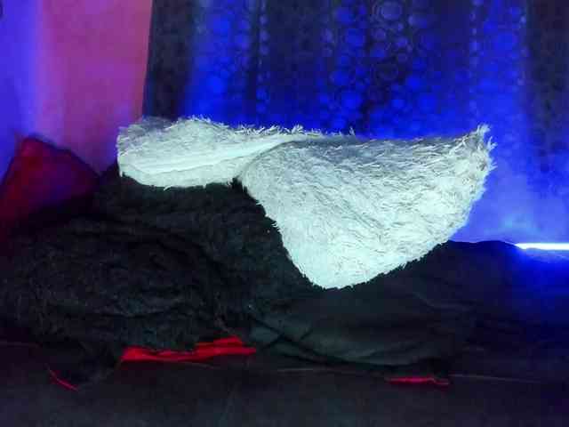 cata-anngel cata-anngel