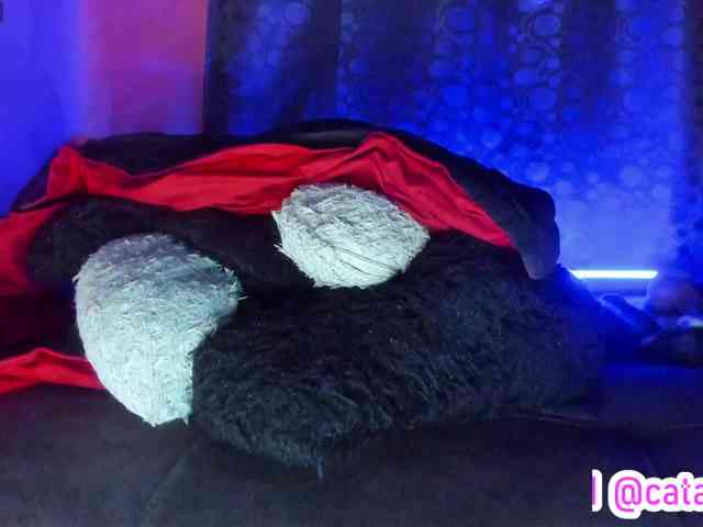 cata-anngel cata-anngel