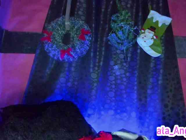 cata-anngel webcam