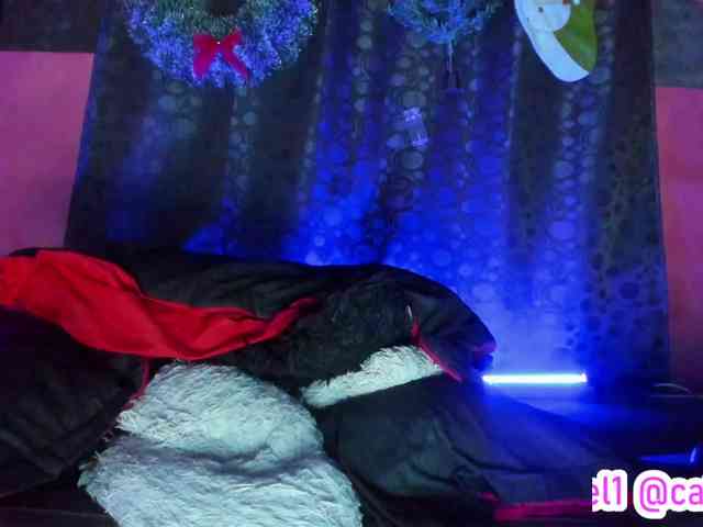 cata-anngel cata-anngel