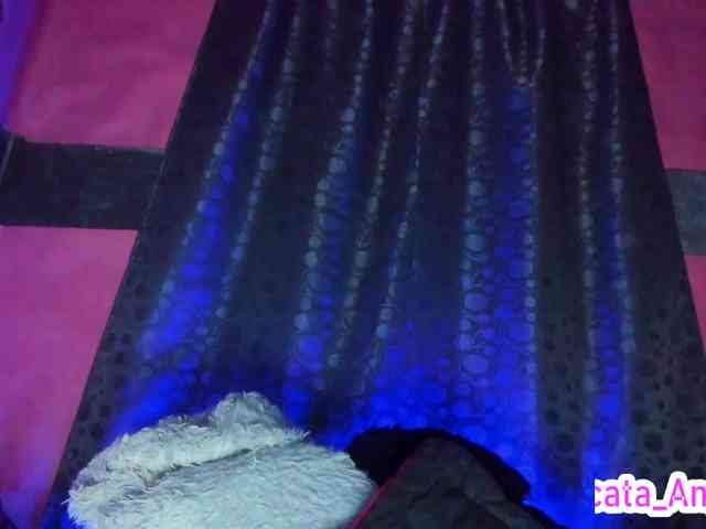 cata-anngel webcam