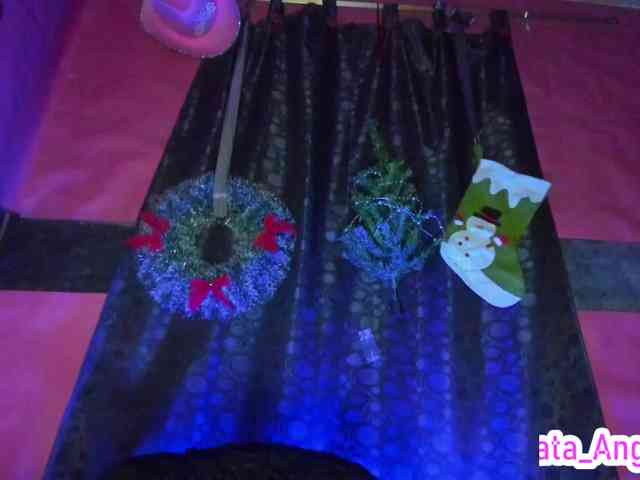 cata-anngel cata-anngel