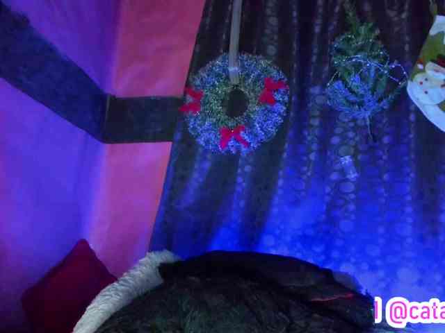 cata-anngel cata-anngel