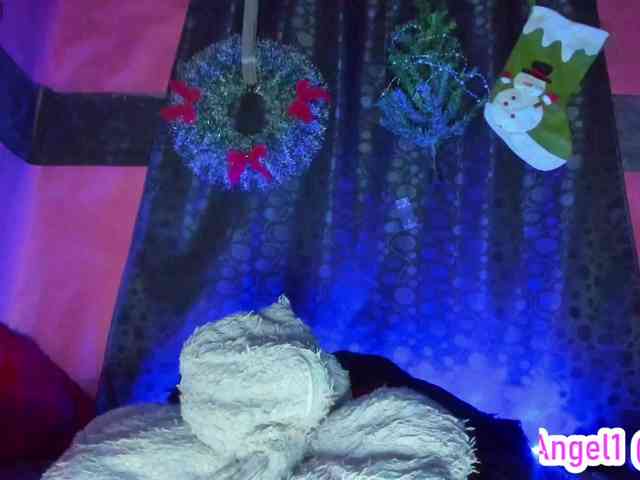 cata-anngel cata-anngel