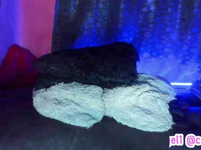 cata-anngel cata-anngel