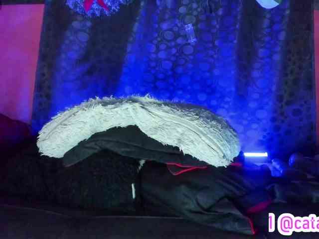 cata-anngel cata-anngel