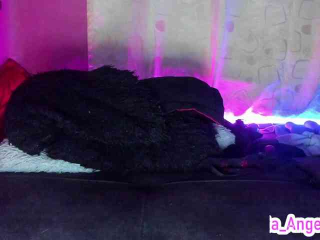 cata-anngel webcam