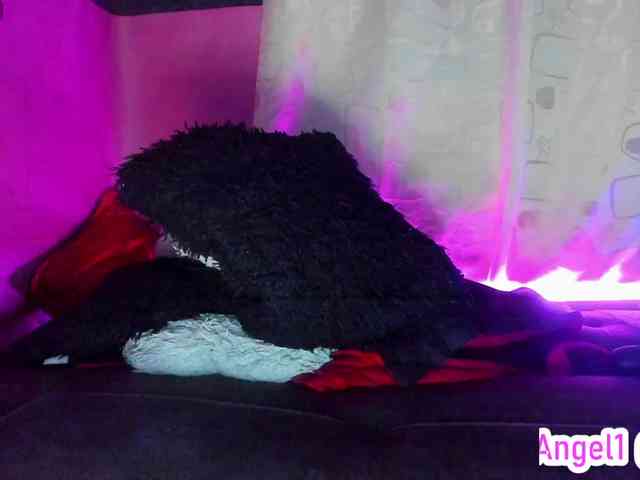 cata-anngel webcam