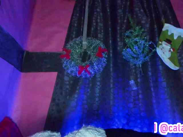 cata-anngel cata-anngel