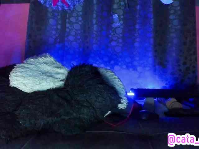 cata-anngel cata-anngel