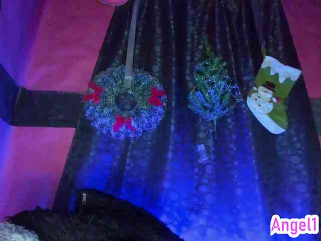 cata-anngel cata-anngel