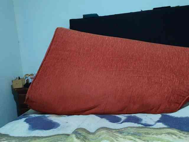 KENDALKITTY1 KENDALKITTY1