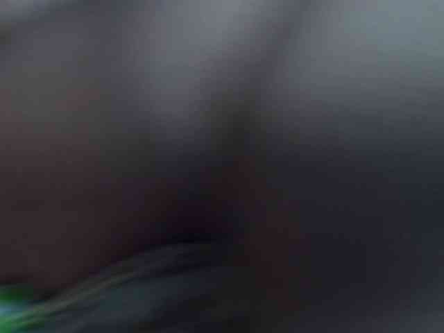 KENDALKITTY1 webcam