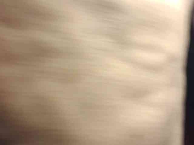 KENDALKITTY1 webcam