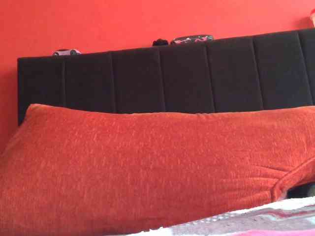 KENDALKITTY1 webcam