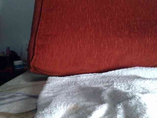 KENDALKITTY1 webcam