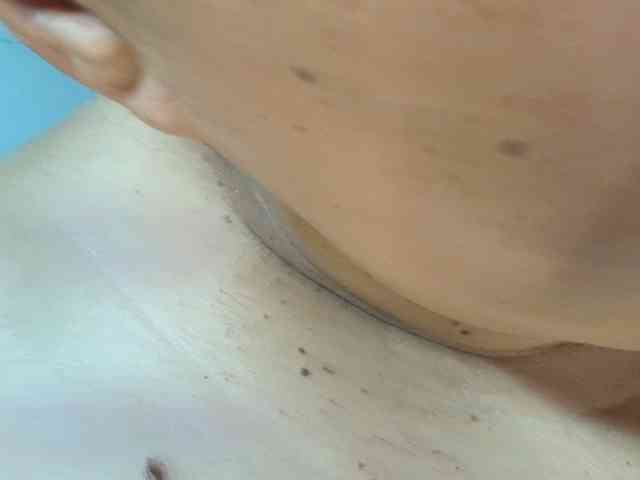 KENDALKITTY1 KENDALKITTY1