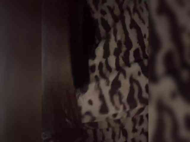 Alsuhig webcam
