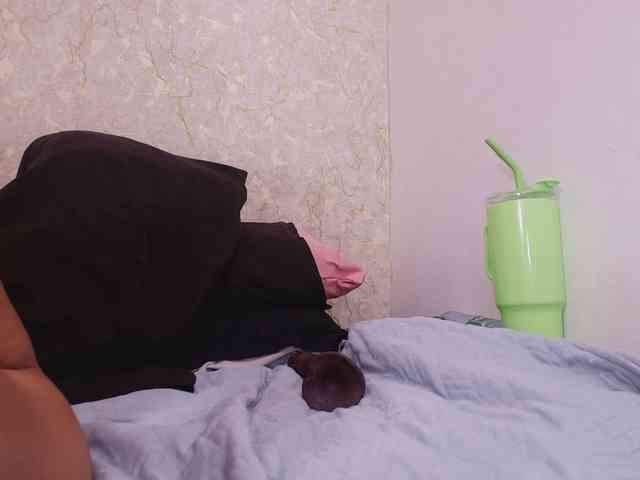 sofia-bb webcam