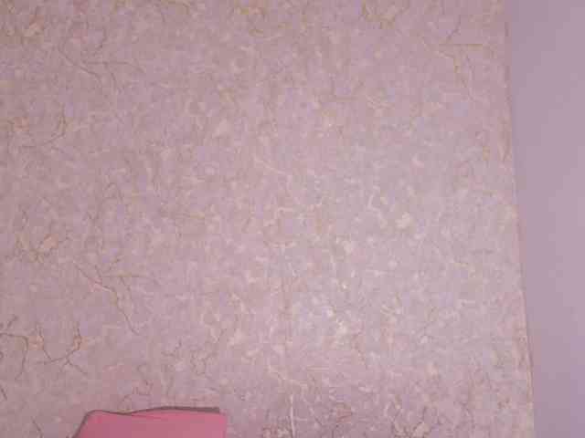sofia-bb webcam
