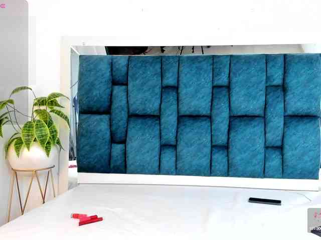 Sasha-stele webcam