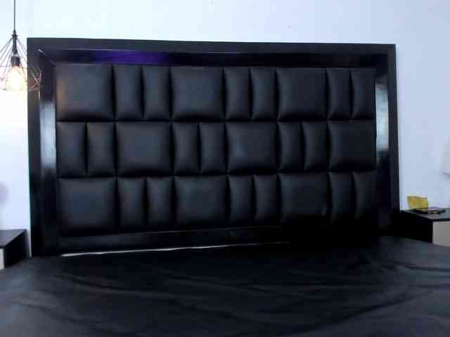 Sasha-stele webcam