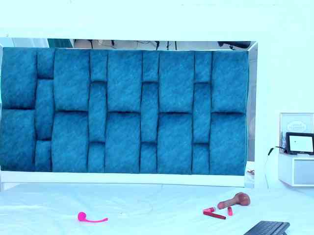 Sasha-stele webcam