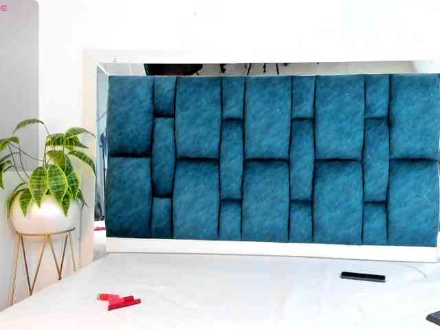 Sasha-stele webcam