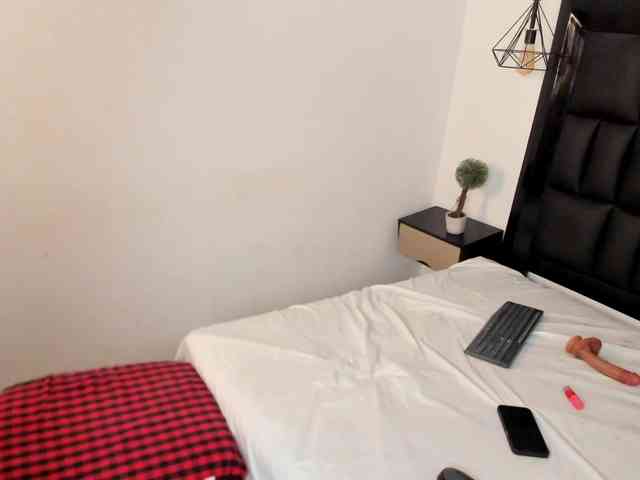 Sasha-stele webcam