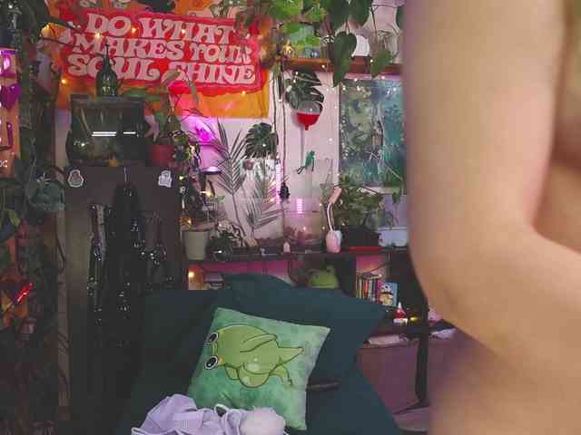 DeadButterfly DeadButterfly