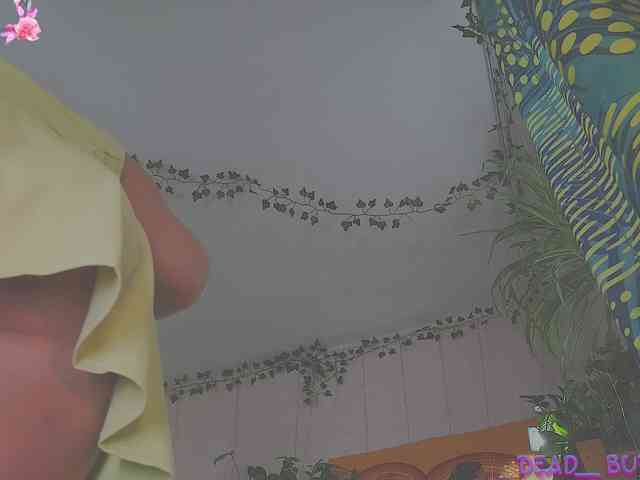 Dead_Butterfly webcam