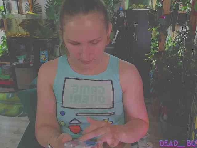Dead_Butterfly webcam