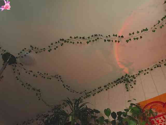 InkButtercup webcam