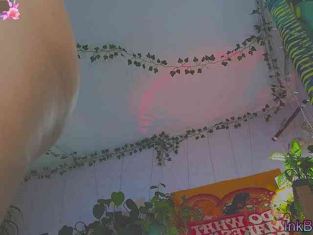InkButtercup webcam