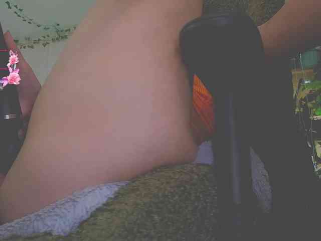 Dead_Butterfly webcam