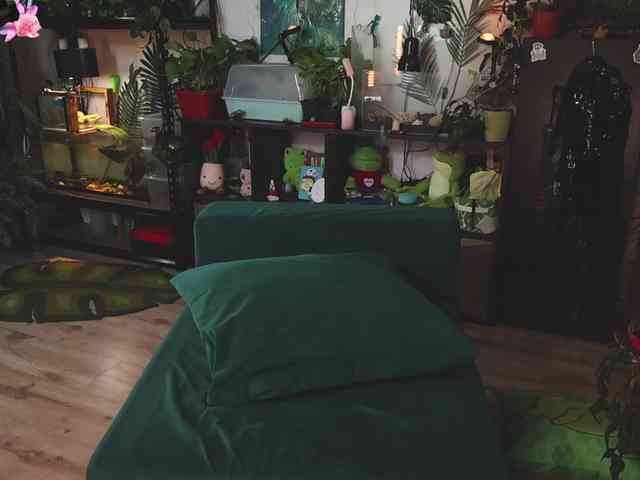 DeadButterfly DeadButterfly