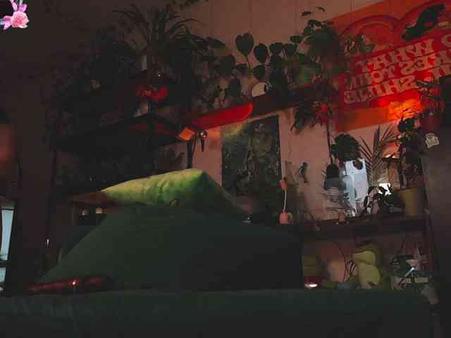 InkButtercup webcam