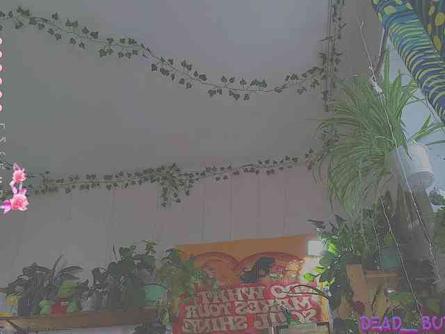 Dead_Butterfly webcam