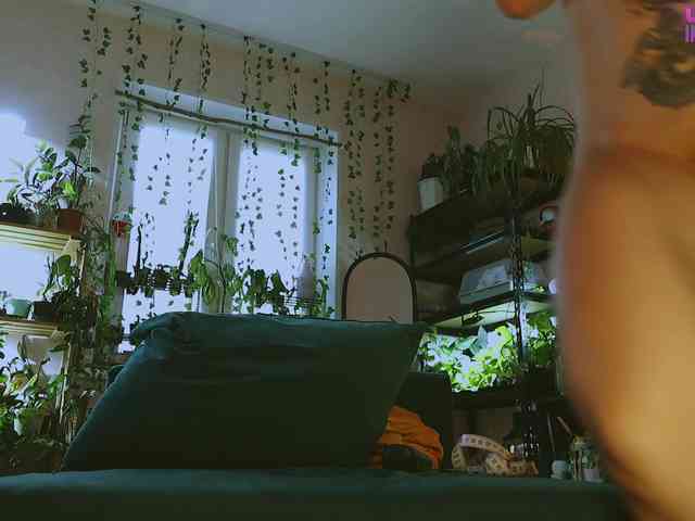 DeadButterfly DeadButterfly