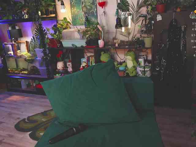 DeadButterfly DeadButterfly